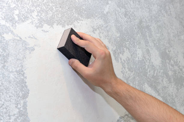 Best Emergency Mold Remediation  in Eunice, NM