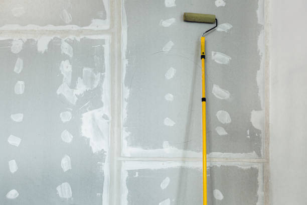 Best Mold Remediation for Rental Properties  in Eunice, NM