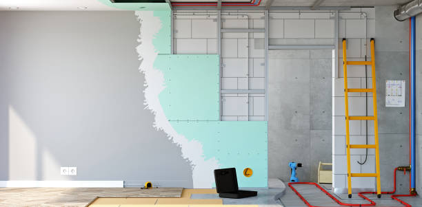 Best Environmental Consulting for Mold Prevention  in Eunice, NM