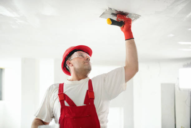 Eunice, NM Mold Removal Company