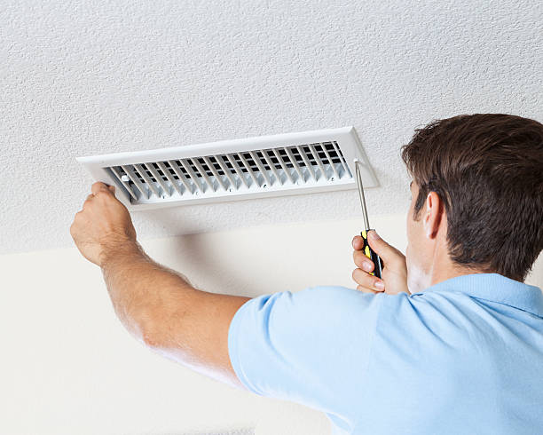 Best Mold Odor Removal Services  in Eunice, NM
