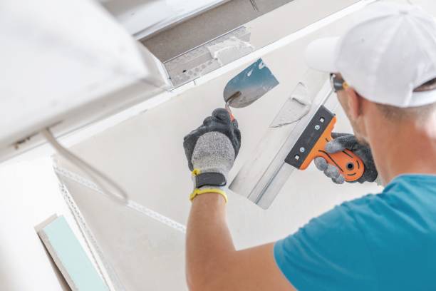 Best Black Mold Removal  in Eunice, NM
